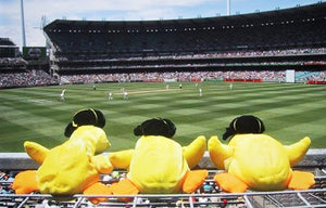 Australian Cricket Tours - Three Toy Ducks Wearing Australian Baggy Green Cricket Caps Lined Up On The Boundary Fence At The Melbourne Cricket Ground (M.C.G.)