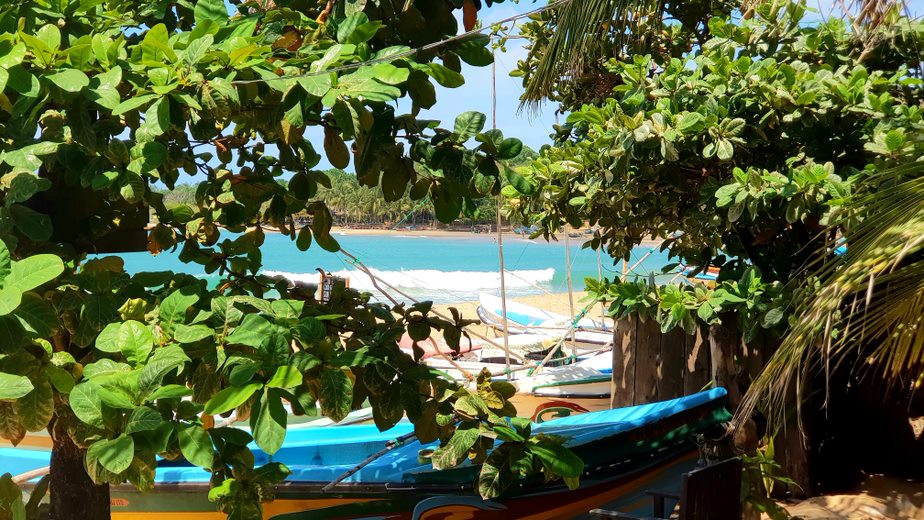 Sri Lanka 2025 Test Cricket Tour Australian Cricket Tours