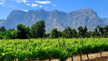 Franschhoek Wineries | Oct 26 | Full Day Trip