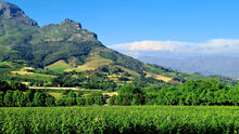 Franschhoek Wineries | Oct 26 | Full Day Trip