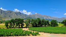 Franschhoek Wineries | Oct 26 | Full Day Trip