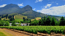 Franschhoek Wineries | Oct 26 | Full Day Trip