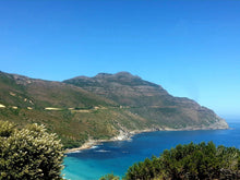Cape Point & Cape Of Good Hope | Oct 25 | Full Day Trip
