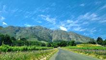 Franschhoek Wineries | Oct 26 | Full Day Trip