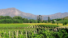 Franschhoek Wineries | Oct 26 | Full Day Trip