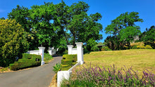 Franschhoek Wineries | Oct 26 | Full Day Trip