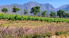 Franschhoek Wineries | Oct 26 | Full Day Trip