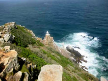 Cape Point & Cape Of Good Hope | Oct 25 | Full Day Trip