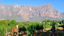 Franschhoek Wineries | Oct 26 | Full Day Trip