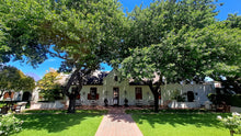Franschhoek Wineries | Oct 26 | Full Day Trip