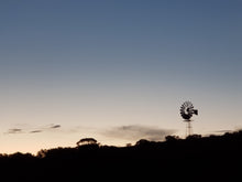 Addo Elephant National Park | Schotia Private Game Reserve | Full Day Trip