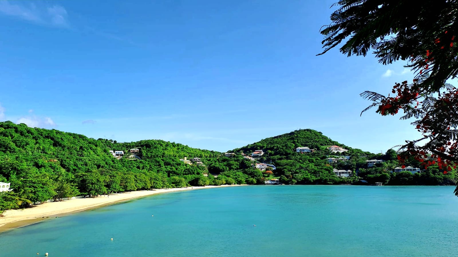 West Indies 2025 Test Cricket Tour Australian Cricket Tours