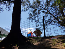 Durban | 1st Test | Australian Cricket Tour Of South Africa 2026