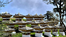 Kingdom Of Bhutan | 6 Night Tour | Australian Cricket Tour To India 2027 | Deposit Booking