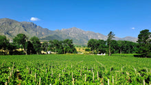 Franschhoek Wineries | Oct 26 | Full Day Trip
