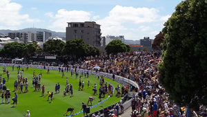 Australian Cricket Tour To New Zealand 2024 | Test Match Tickets
